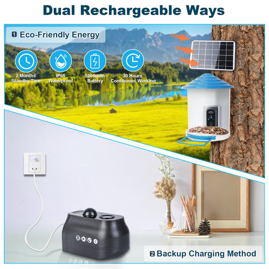 Smart Bird Feeder With Solar Powered Camera 1080P HD AI Identify PIR Motion Auto Capture Video Cloud Card Storage WiFi Connection App Control IP65 Waterproof