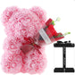 Rose Preserved Fresh Flower Valentine's Day Birthday Gift For Girlfriend