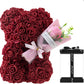 Rose Preserved Fresh Flower Valentine's Day Birthday Gift For Girlfriend
